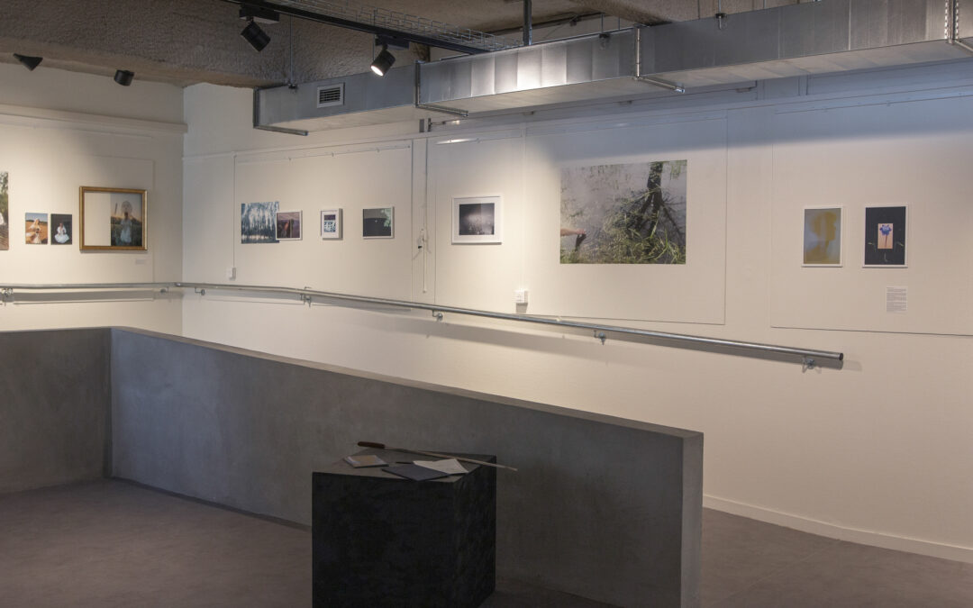 Contemplations. Première exposition solo à la Maison des Arts