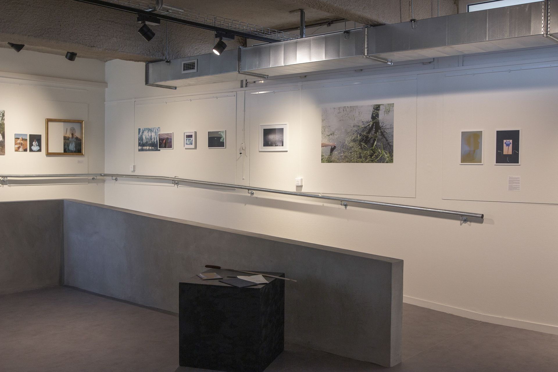 Contemplations. Première exposition solo à la Maison des Arts