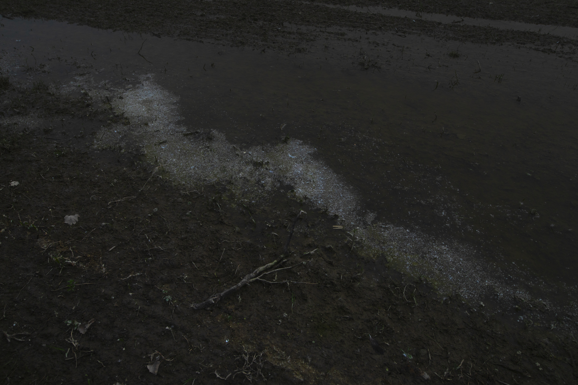 White Noise