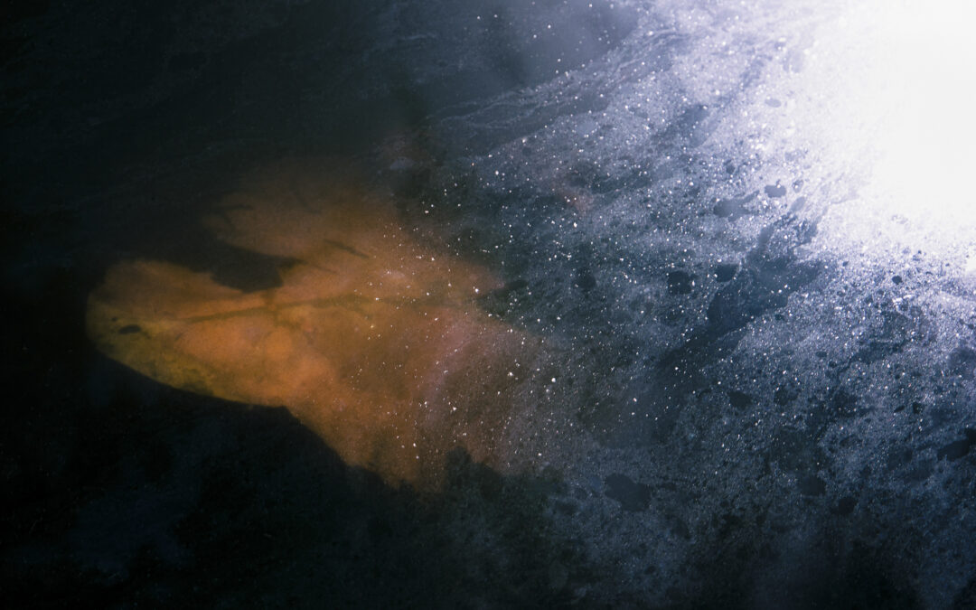 Où dorment les étoiles