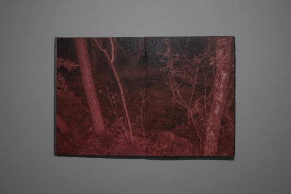 Silver lining – Image 4