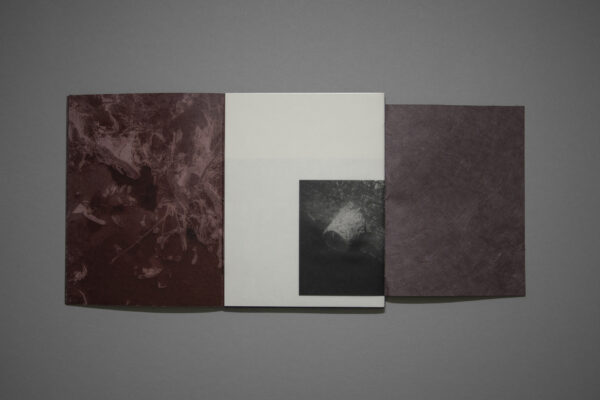 Silver lining – Image 6