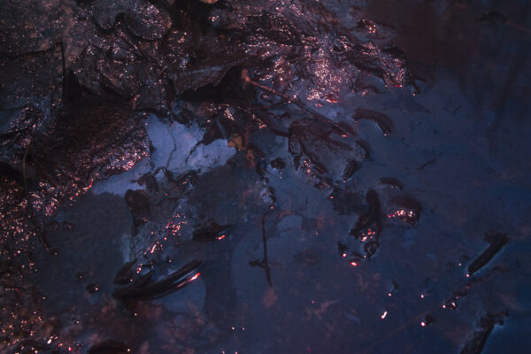 Silver Lining – Image 3