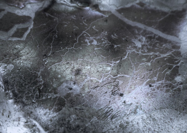 Silver Lining – Image 5