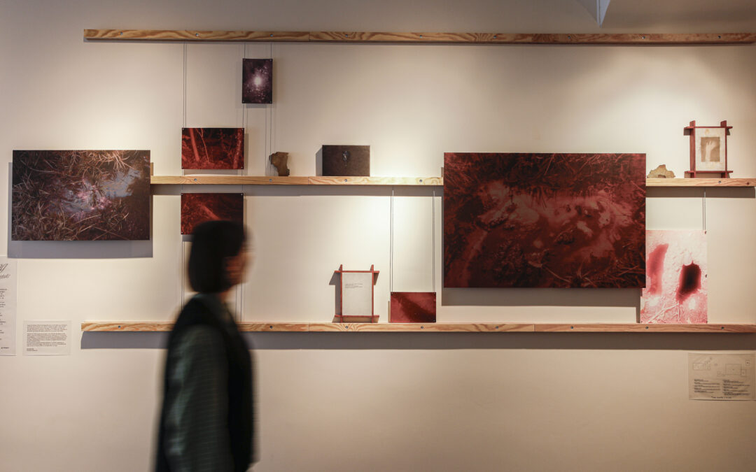 Silver lining au café galerie Oscura